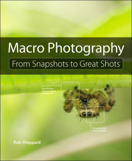 Sheppard Rob. Macro Photography From Snapshots to Great Shots