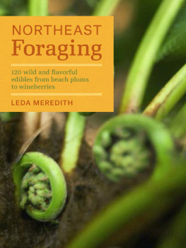 Meredith L. - Northeast Foraging: 120 Wild and Flavorful Edibles from Beach Plums to Wineberries