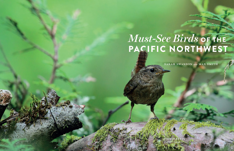 Frontispiece Pacific Wren Copyright 2013 by Sarah Swanson and Max Smith All - photo 2