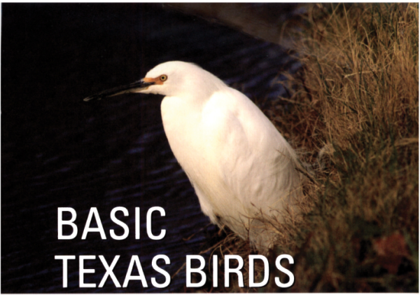 A FIELD GUIDE MARK W LOCKWOOD Photographs by Greg W Lasley Tim Cooper - photo 1