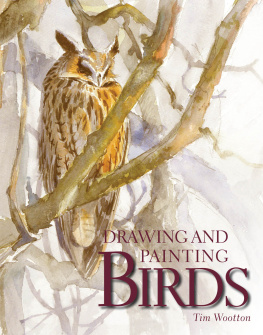 Wootton Tim. - Drawing and Painting Birds