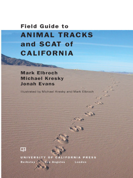 Elbroch M. Field Guide to Animal Tracks and Scat of California
