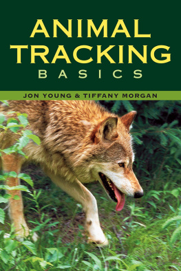 Young J. Animal Tracking. Basics