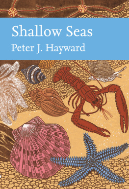 Hayward P.J. - Shallow Seas