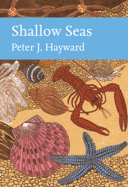 Hayward P.J. Shallow Seas