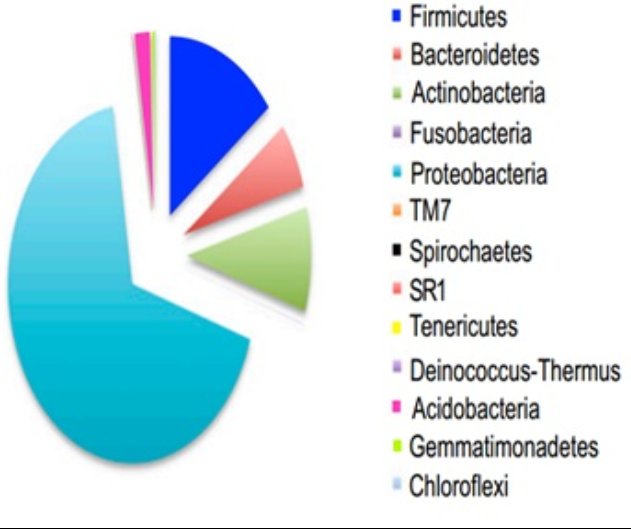 Many of the players related to atherosclerotic plaque formation including - photo 6