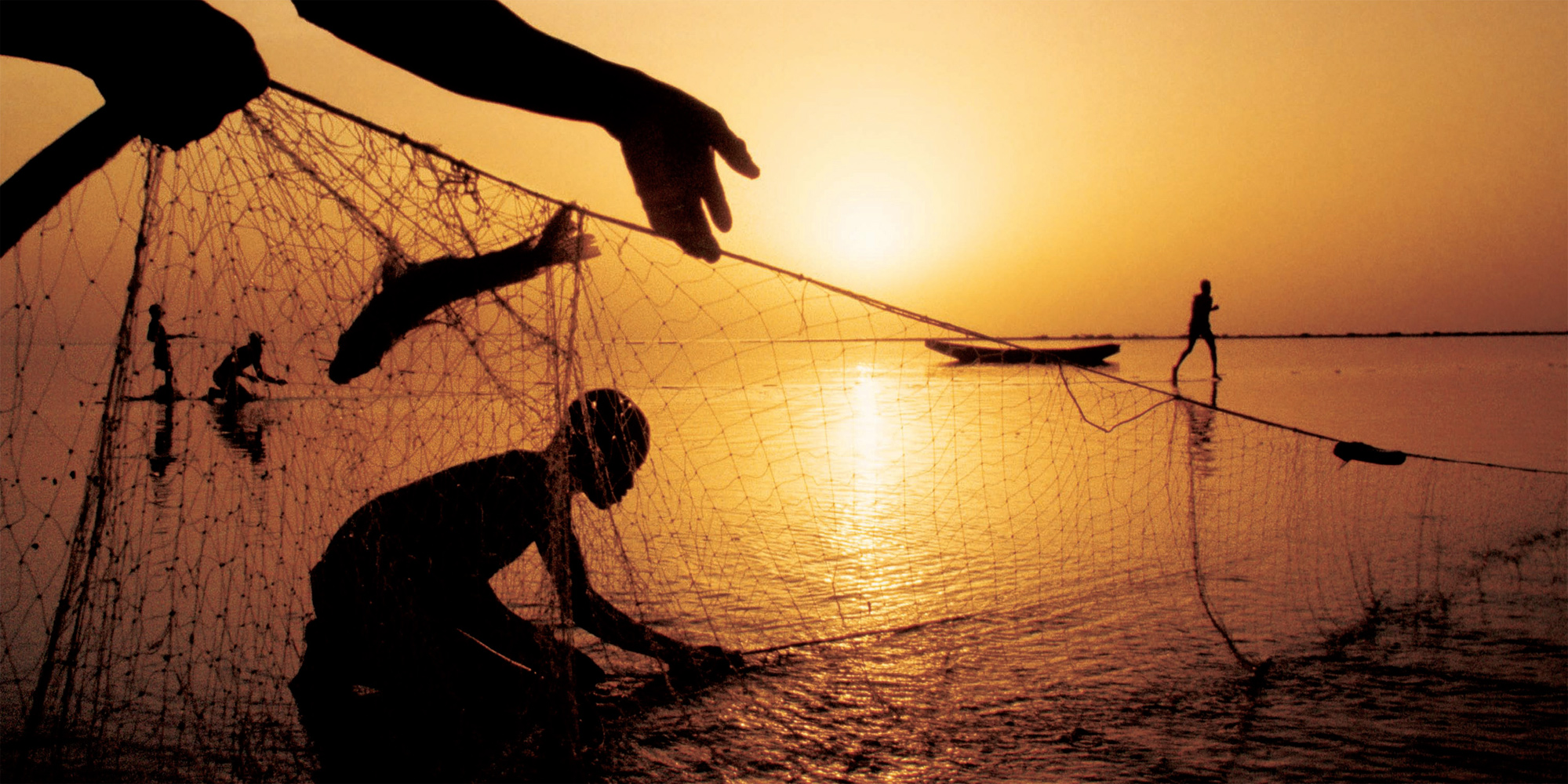 GORDON GAHAN Lake Chad Chad Fishermen haul in a net at the end of the day - photo 22