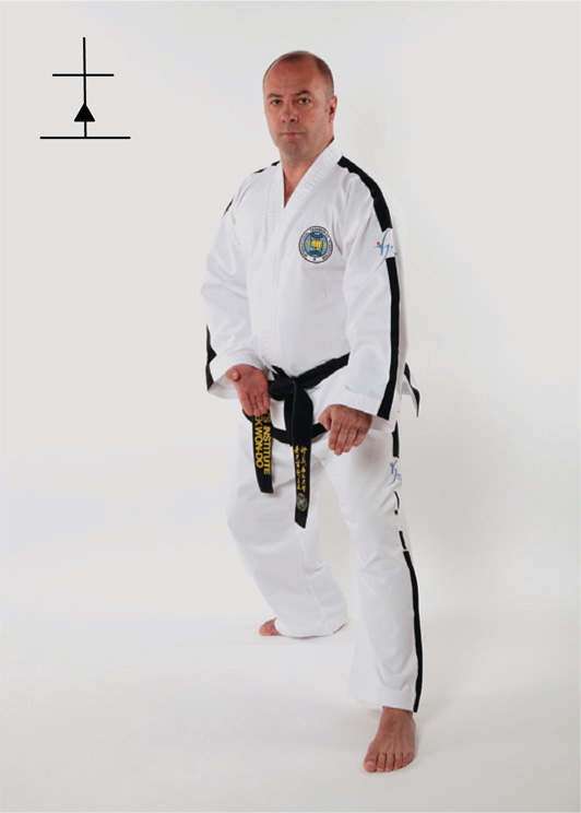 Step back with the right foot in a sliding motion into right l-stance knife - photo 3