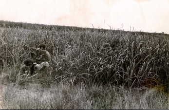 1968 playing in the field Duc Hoa wire This area was over run at the first - photo 16