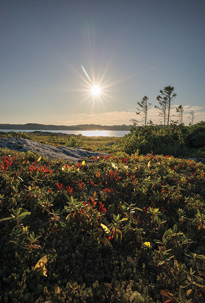 Leica M 240 21mm 1500 f4 ISO 200 Fogo Island Newfoundland 2014 A - photo 2