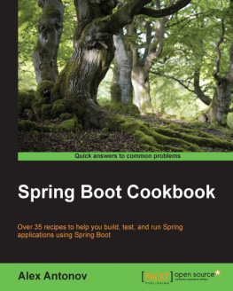 Antonov A. Spring Boot Cookbook