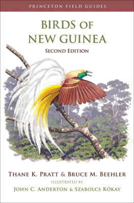 Pratt T.K. - Birds of New Guinea (2nd Edition)