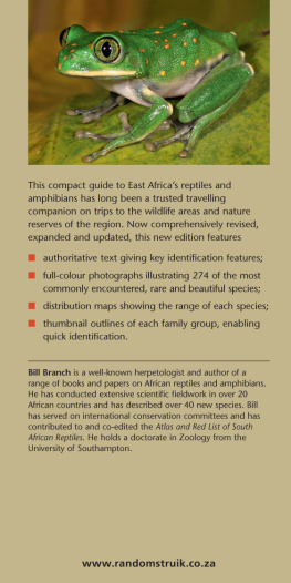 Branch B. - A Photographic Guide to Snakes, other Reptiles and Amphibians of East Africa