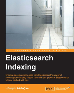 Akdoğan H. Elasticsearch Indexing