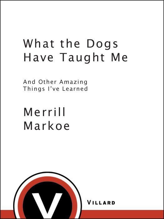 Praise for Merrill Markoe What the Dogs Have Taught Me Merrill Markoe has - photo 1