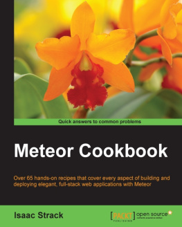 Strack I. - Meteor Cookbook