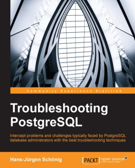 Schönig H.-J. Troubleshooting PostgreSQL