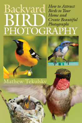 Tekulsky M. Backyard Bird Photography. How to Attract Birds to Your Home and Create Beautiful Photographs