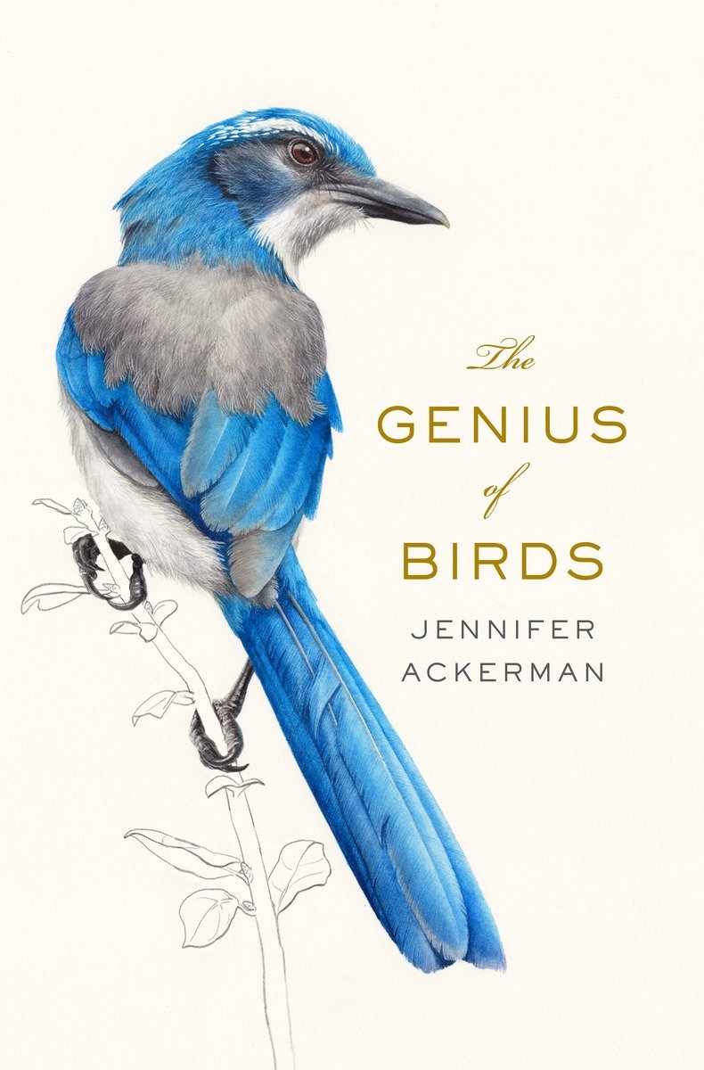 The Genius of Birds - image 1