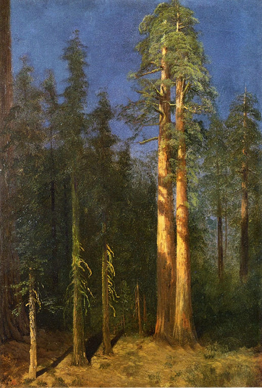 Campfire Site Yosemite No date Oil on canvas 762 x 6096 cm Private - photo 9