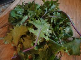 Health Benefits As a member of the healthful cruciferous family kale offers - photo 5