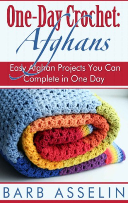 Asselin One-Day Crochet: Afghans: Easy Afghan Projects You Can Complete in One Day