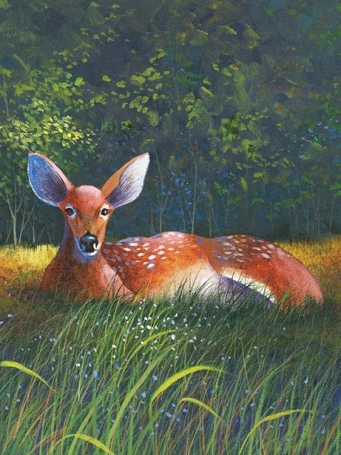 10 ACRYLIC PROJECTS USING JUST 5 COLORS WILDLIFE LANDSCAPES YOU CAN PAINT - photo 2