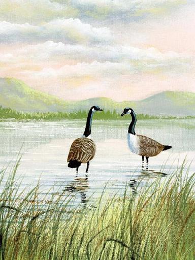 Canada Geese at the Shore Acrylic on canvas panel board 16 12 41cm 30cm - photo 9