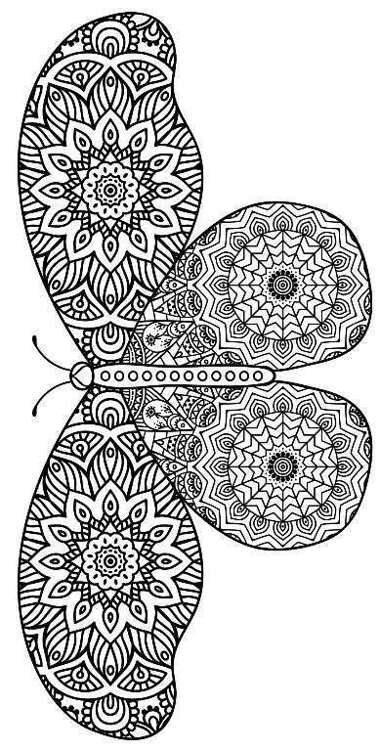 Adult Coloring Books Butterfly Zentangle Patterns 31 Beautiful Stress Relieving Butterfly Coloring Designs - photo 9