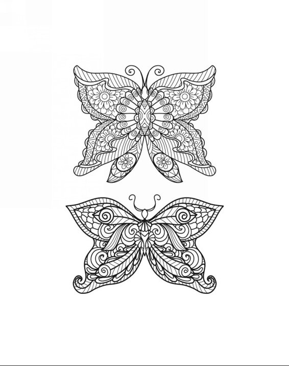 Zendoodle Coloring Colorful Nature 30 Art Therapy Designs with Fruits Vegetables and Butterflies to Color and Exhibit - photo 5