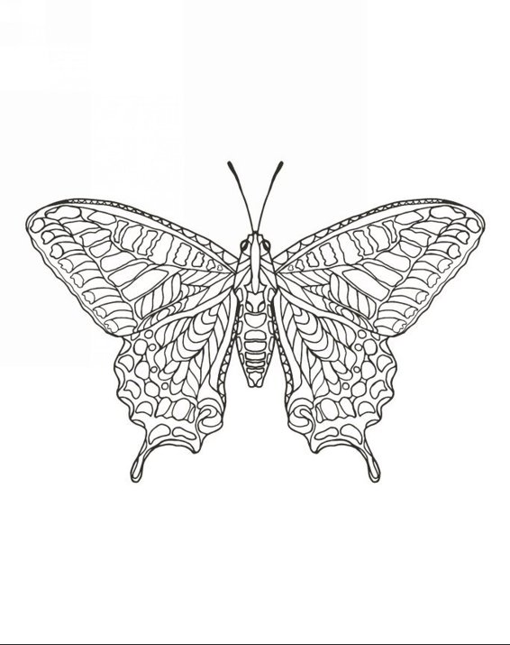 Zendoodle Coloring Colorful Nature 30 Art Therapy Designs with Fruits Vegetables and Butterflies to Color and Exhibit - photo 6