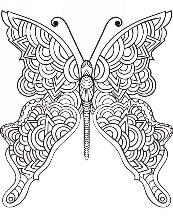 Zendoodle Coloring Colorful Nature 30 Art Therapy Designs with Fruits Vegetables and Butterflies to Color and Exhibit - photo 9