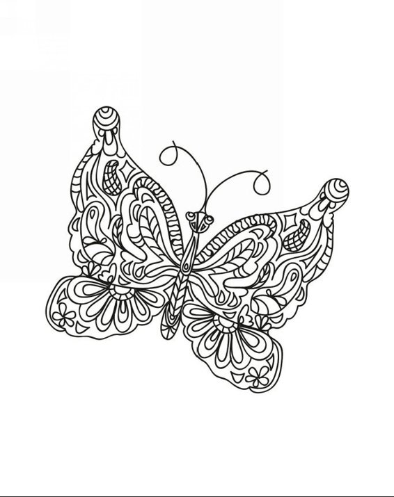 Zendoodle Coloring Colorful Nature 30 Art Therapy Designs with Fruits Vegetables and Butterflies to Color and Exhibit - photo 10