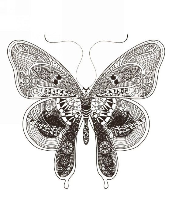 Zendoodle Coloring Colorful Nature 30 Art Therapy Designs with Fruits Vegetables and Butterflies to Color and Exhibit - photo 11