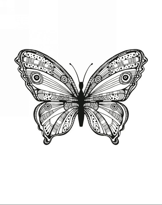 Zendoodle Coloring Colorful Nature 30 Art Therapy Designs with Fruits Vegetables and Butterflies to Color and Exhibit - photo 12