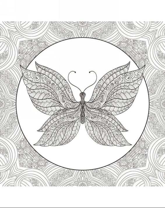 Zendoodle Coloring Colorful Nature 30 Art Therapy Designs with Fruits Vegetables and Butterflies to Color and Exhibit - photo 13