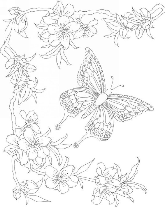 Zendoodle Coloring Colorful Nature 30 Art Therapy Designs with Fruits Vegetables and Butterflies to Color and Exhibit - photo 14