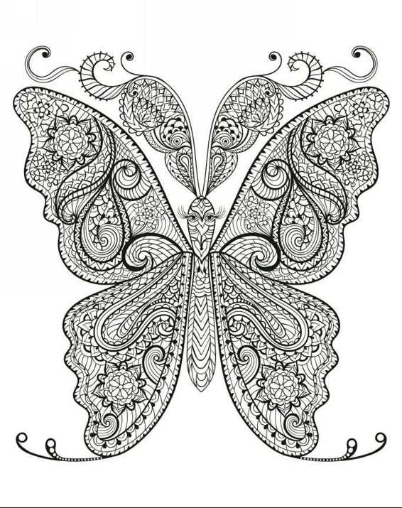 Zendoodle Coloring Colorful Nature 30 Art Therapy Designs with Fruits Vegetables and Butterflies to Color and Exhibit - photo 15