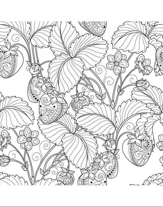 Zendoodle Coloring Colorful Nature 30 Art Therapy Designs with Fruits Vegetables and Butterflies to Color and Exhibit - photo 23