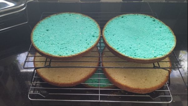Ive made vanilla sponge and coloured the one half blue This adds to the - photo 1