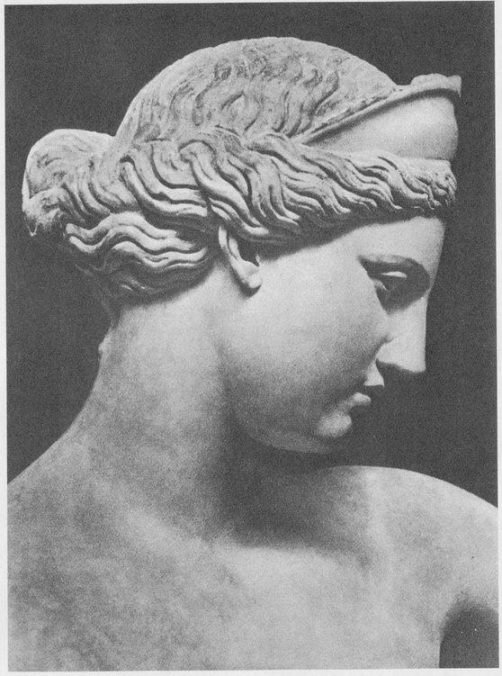30 Venus of Capua Late Hellenistic Naples National Museum 31 - photo 31