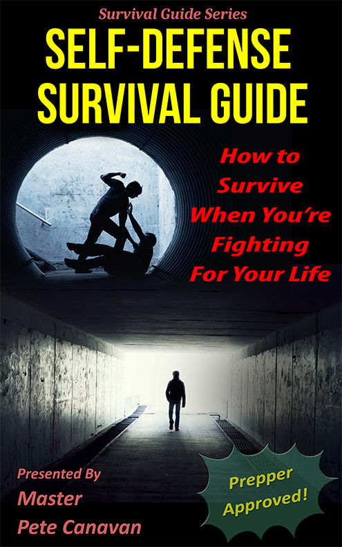 Self-Defense Survival Guide How To Survive When Youre Fighting For Your - photo 1