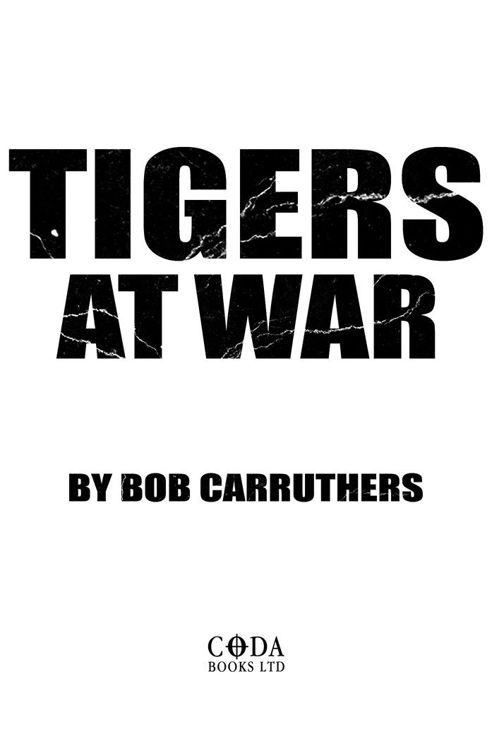 Tigers At War - image 2