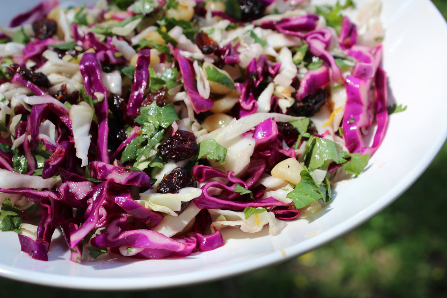 Salad cabbage 14 cup of coriander 14 green cabbage salad 14 purple - photo 8