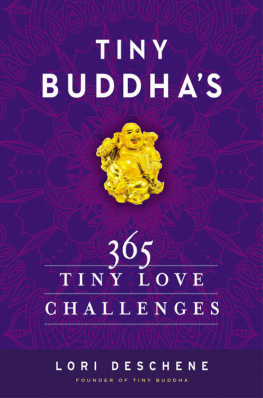 Deschene Tiny Buddhas 365 Tiny Love Challenges