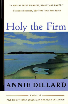 Dillard - Holy the Firm