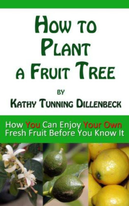 Dillenbeck - How to Plant a Fruit Tree: How You Can Enjoy Your Own Fresh Fruit Before You Know It