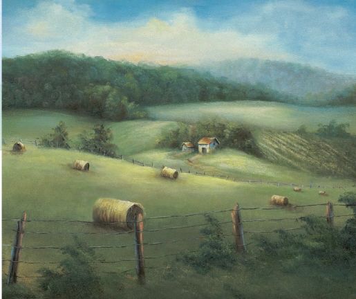 Bales of Hay ABOUT THE AUTHOR Annette Dozier has been painting landscapes - photo 4