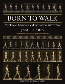 Earls - Born to Walk: Myofascial Efficiency and the Body in Movement