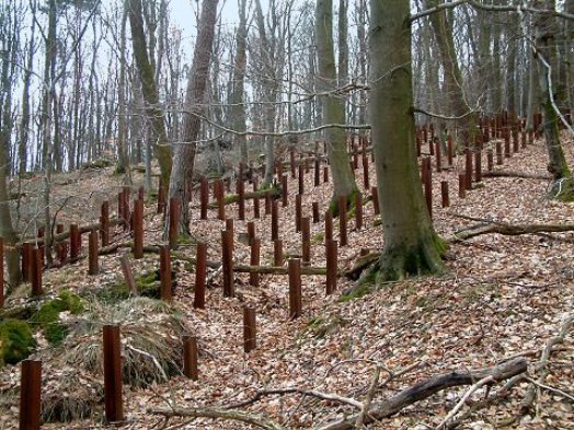 Anti-tank rails comprising part of the Maginot Line About Charles River - photo 1